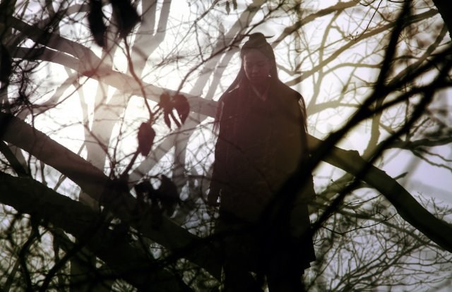 Foto de THE ASSASSIN