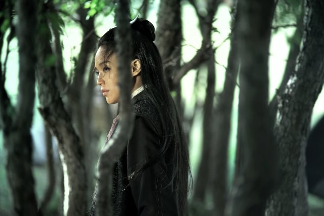 Foto de THE ASSASSIN