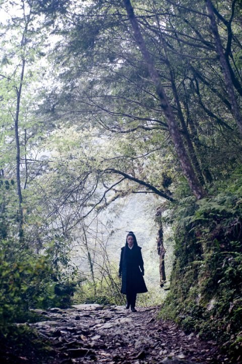 Poster de THE ASSASSIN