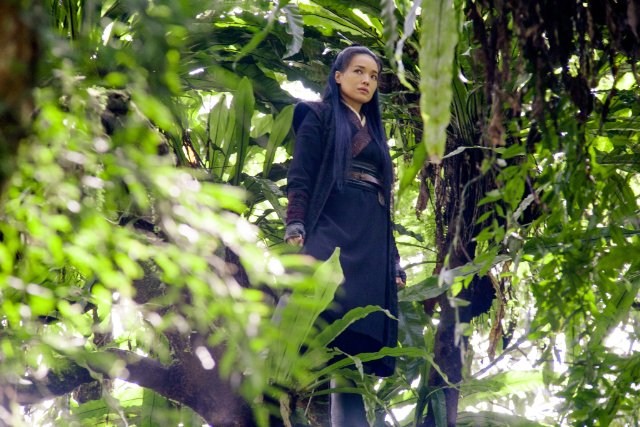 Foto de THE ASSASSIN