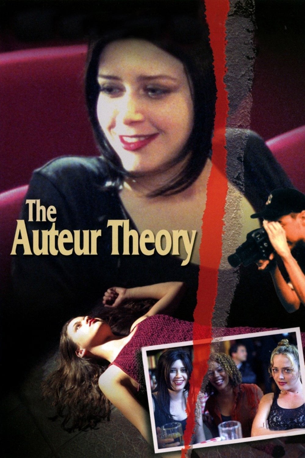 Poster de THE AUTEUR THEORY en inglés