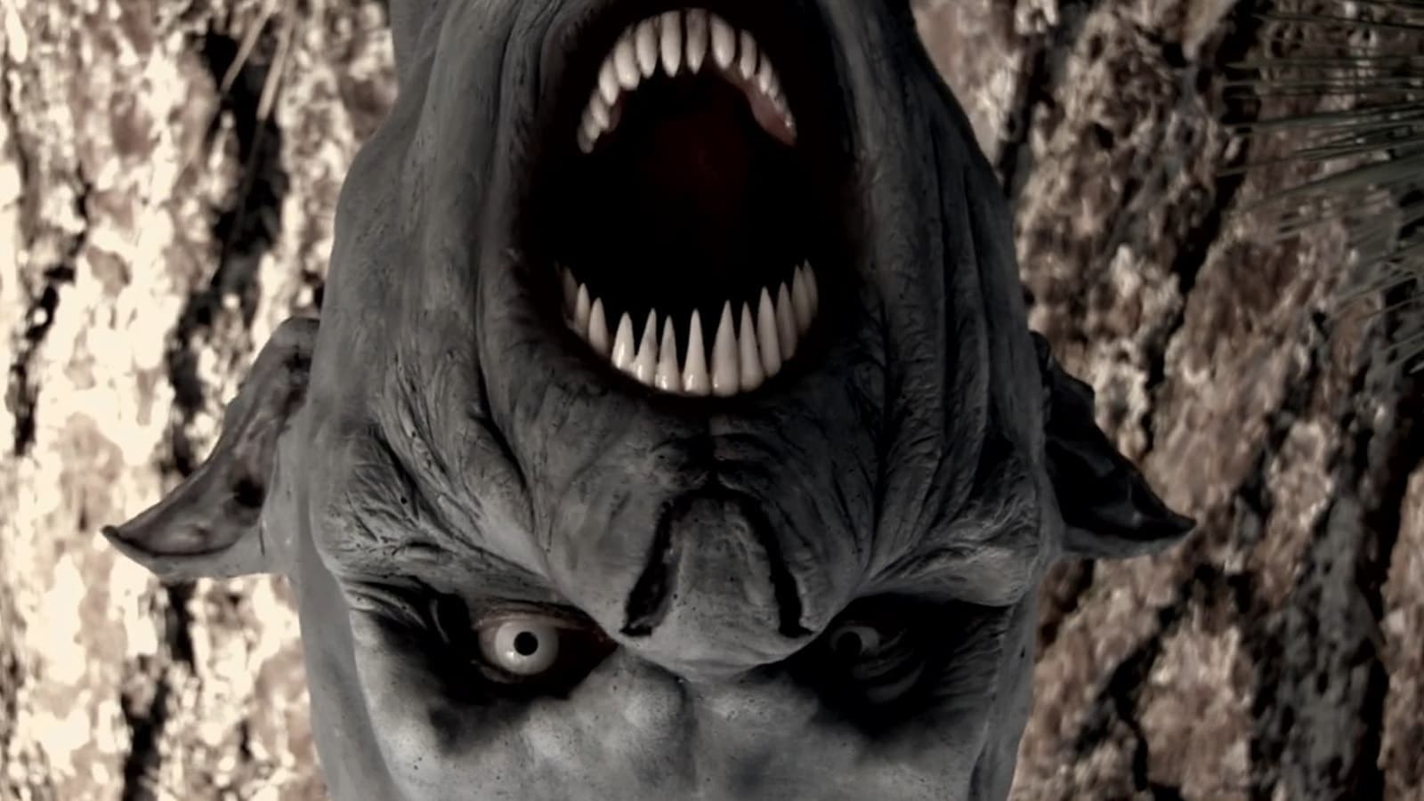 Foto de THE BLACK WATER VAMPIRE
