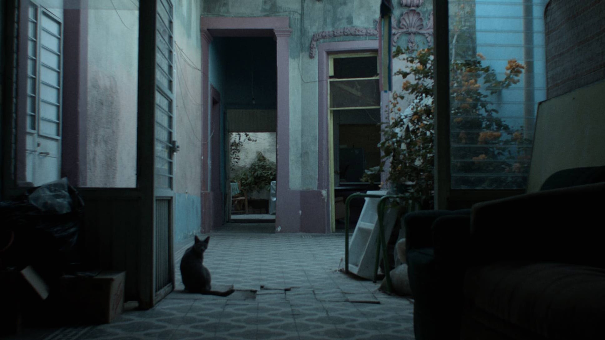 Foto de THE BLUE YEARS