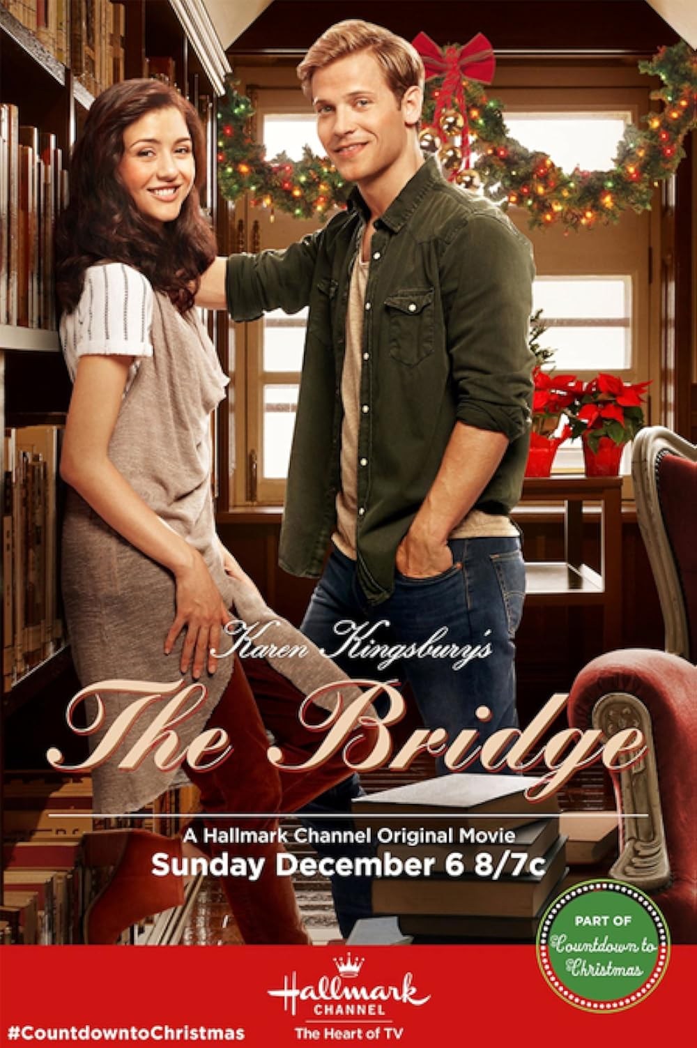Poster de THE BRIDGE