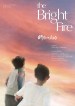 The Bright Fire