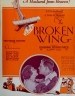 The Broken Wing