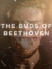 The Buds of Beethoven