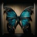 The Butterfly