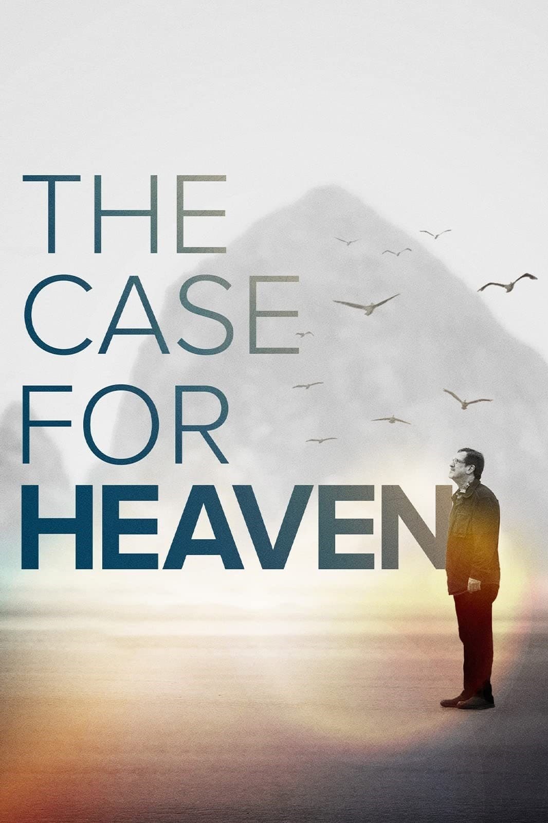 Poster de EL CASO DEL CIELO en inglés