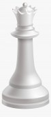 The Chess Game