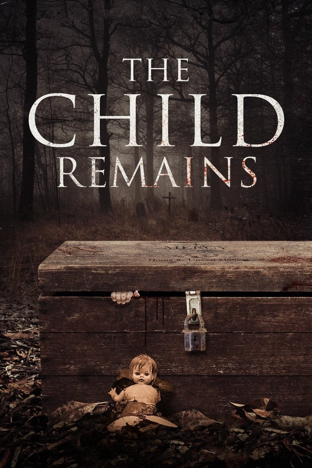 Poster de THE CHILD REMAINS