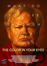 The Color in Your Eyes