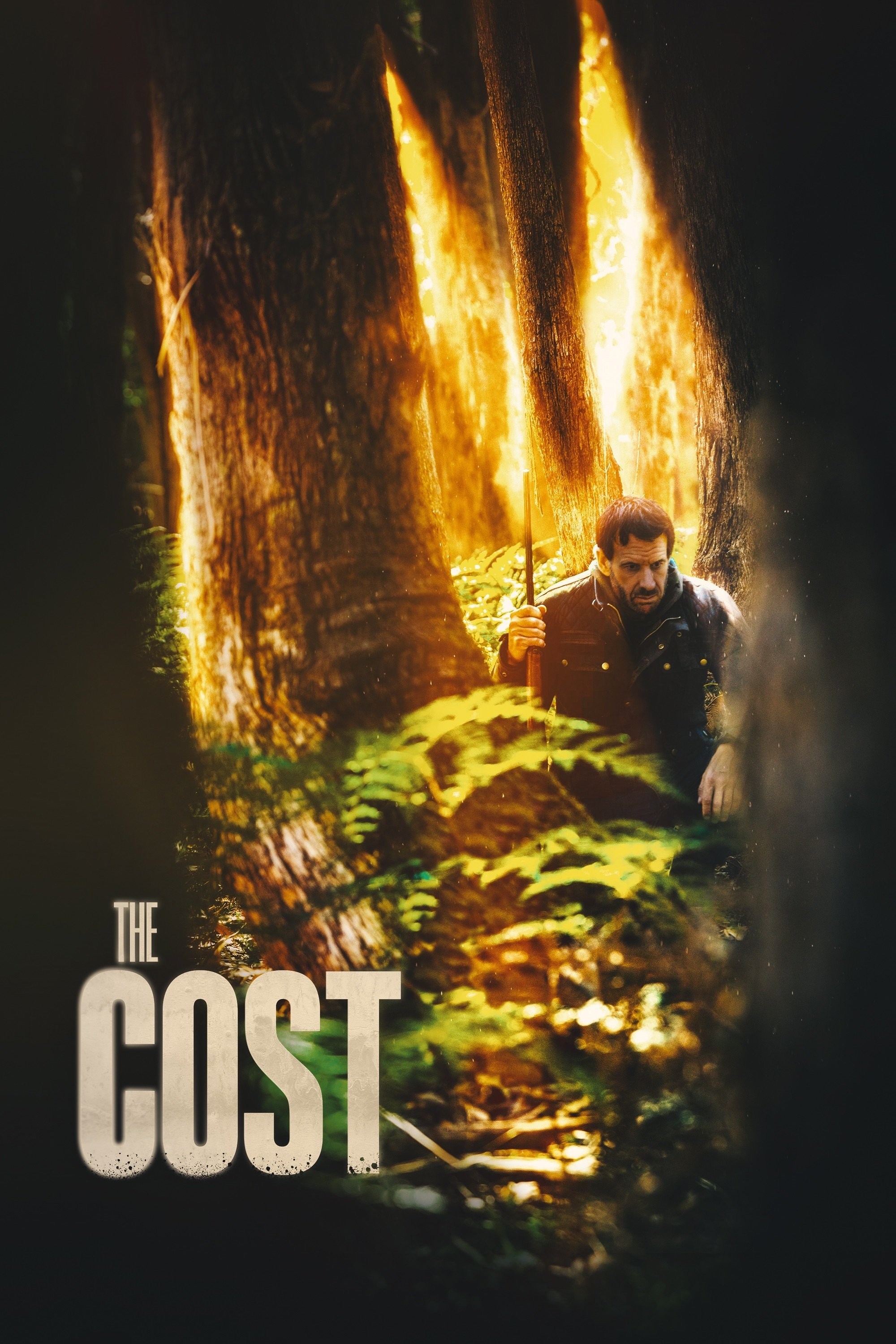 Poster de THE COST