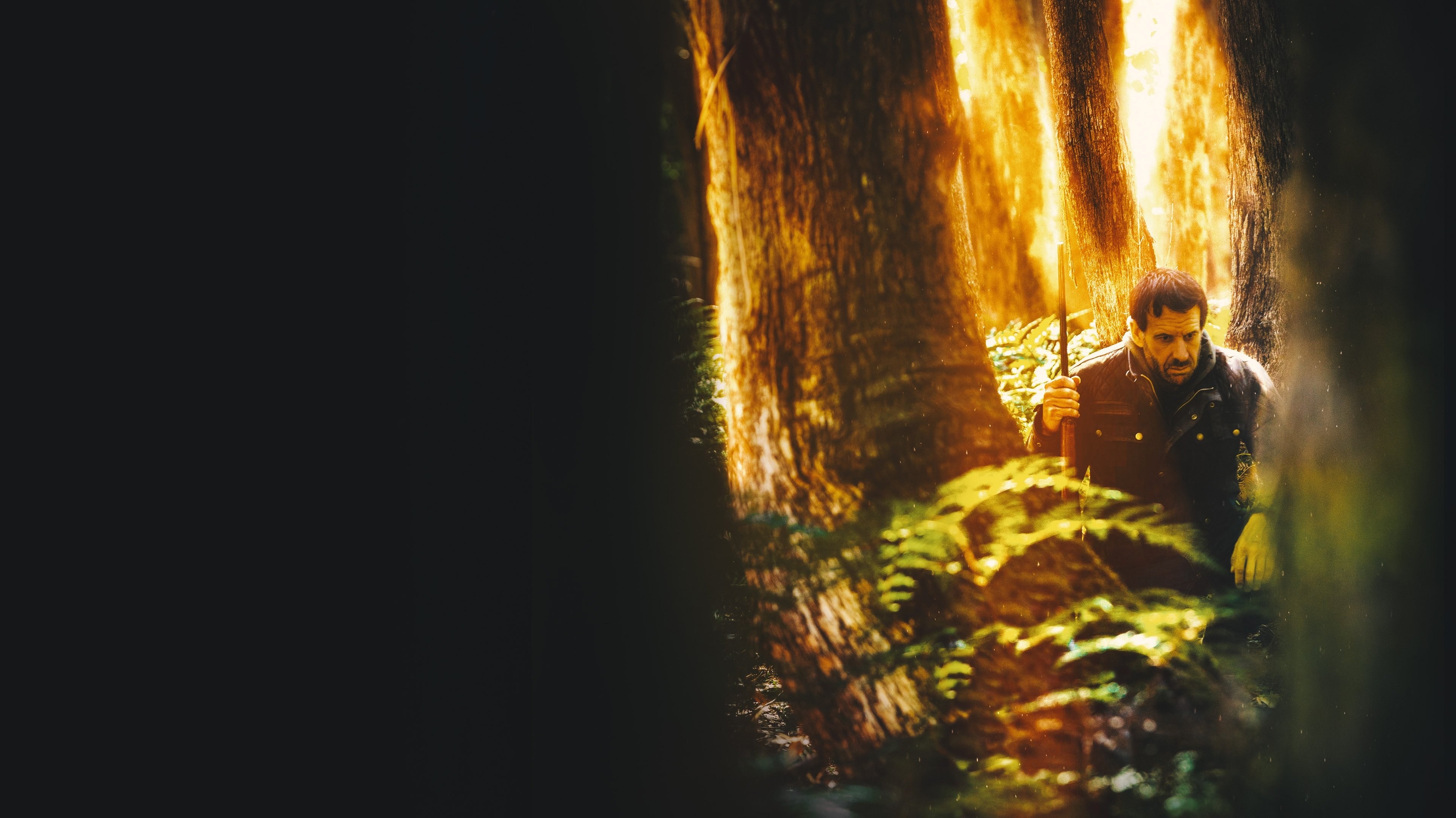 Foto de THE COST