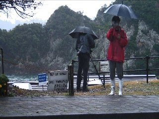 Foto de THE COVE