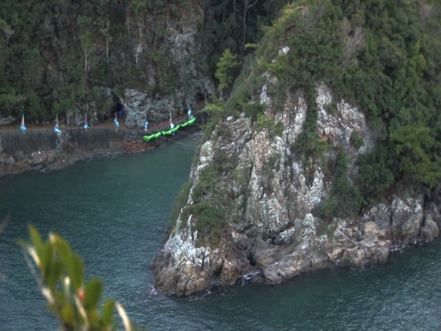 Foto de THE COVE