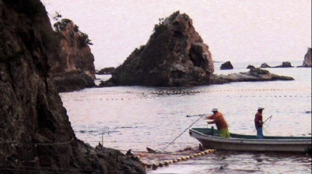 Foto de THE COVE
