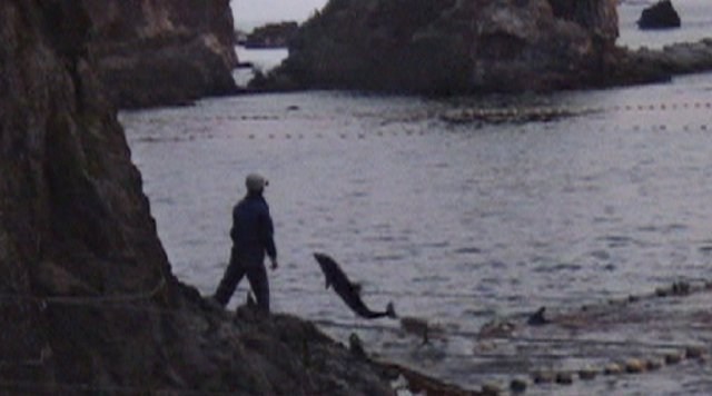 Foto de THE COVE