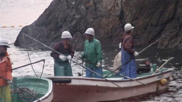 Foto de THE COVE