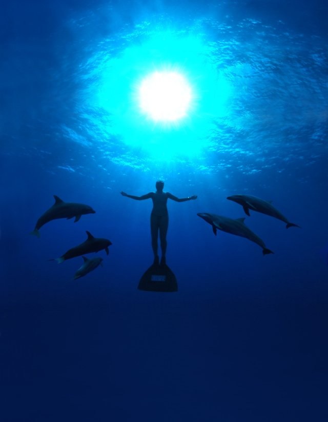 Poster de THE COVE