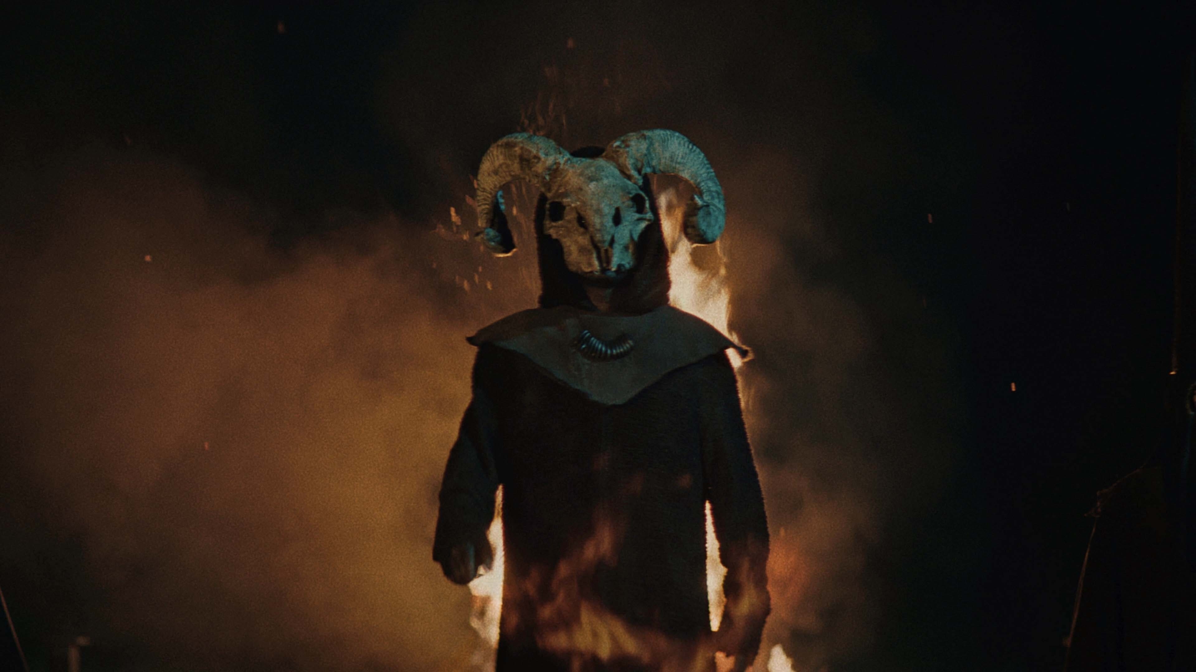 Foto de THE LONG NIGHT