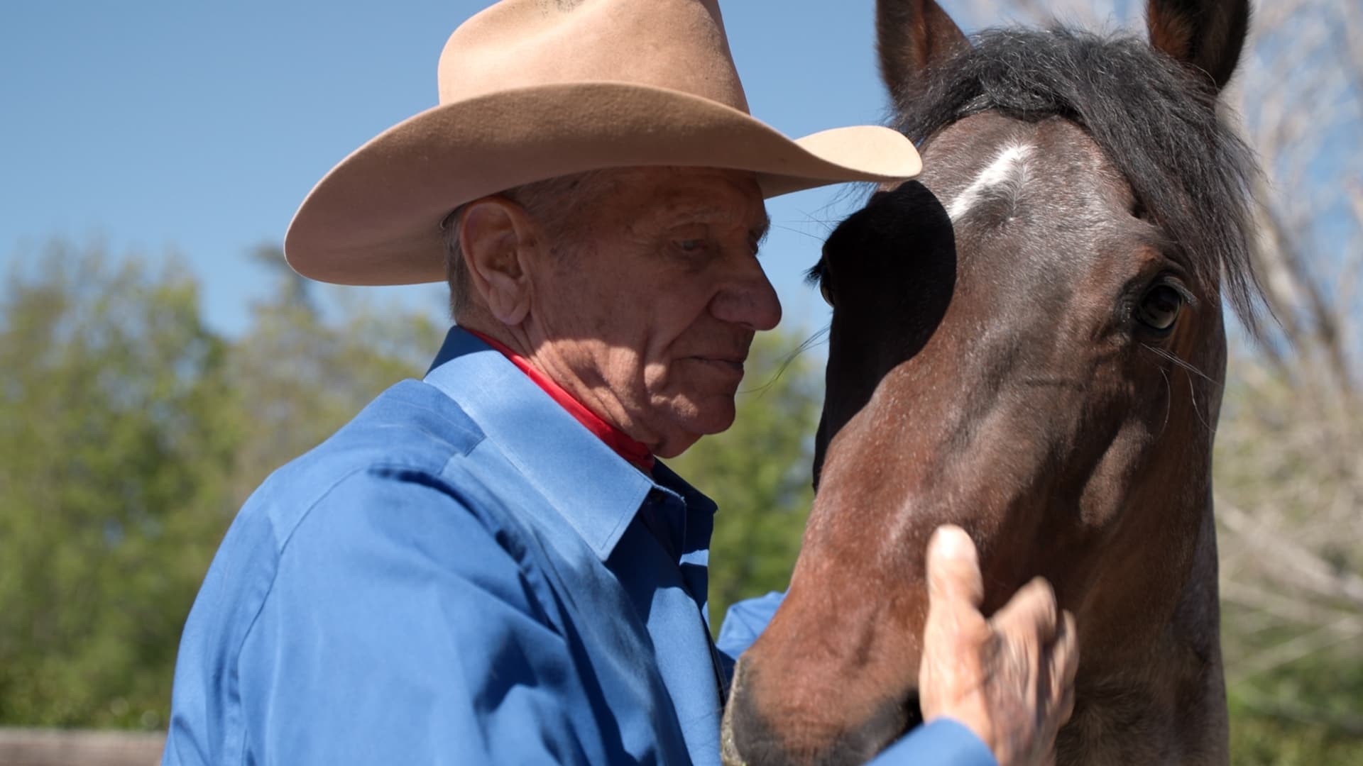 Foto de THE COWBOY AND THE QUEEN