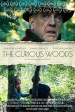 The Curious Woods