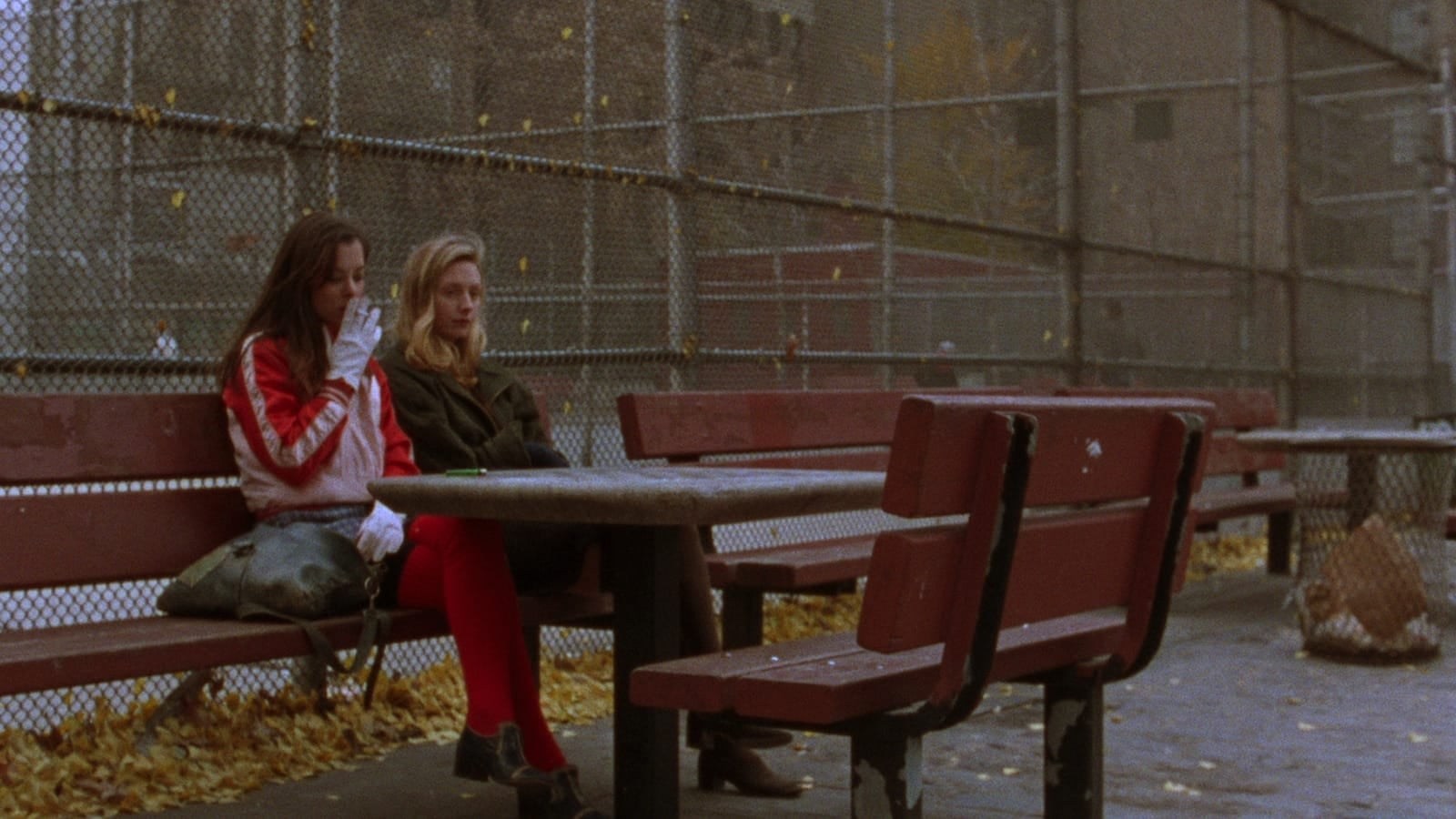 Foto de THE DAYTRIPPERS