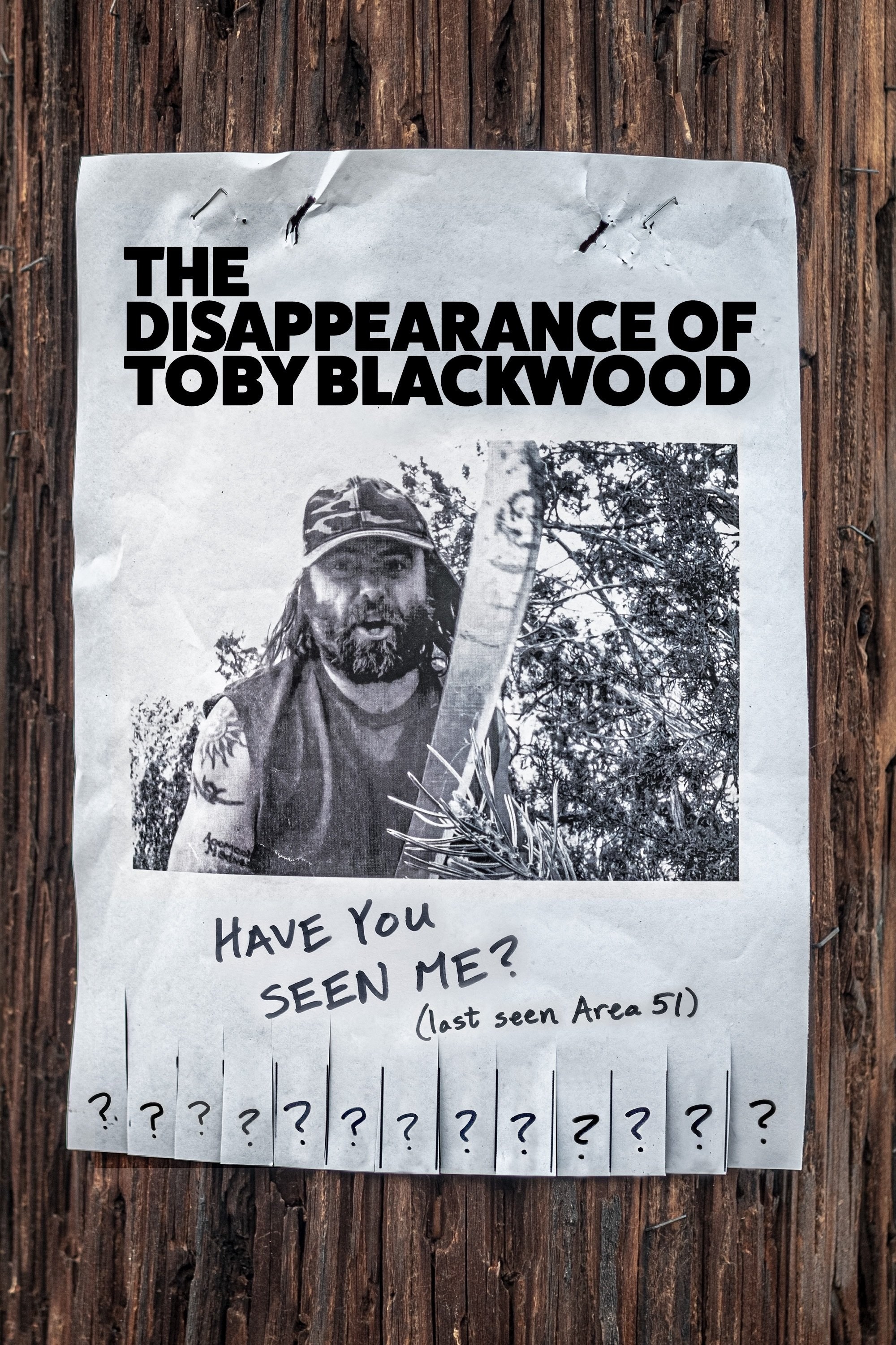 Poster de THE DISAPPEARANCE OF TOBY BLACKWOOD