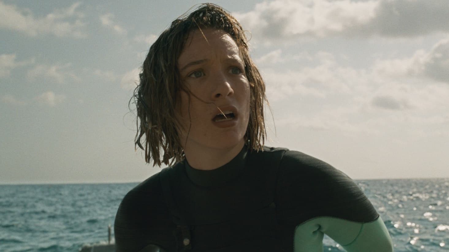Foto de THE DIVE