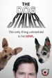 The Dog Stalker