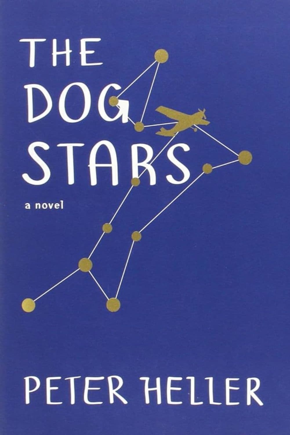 Poster de THE DOG STARS
