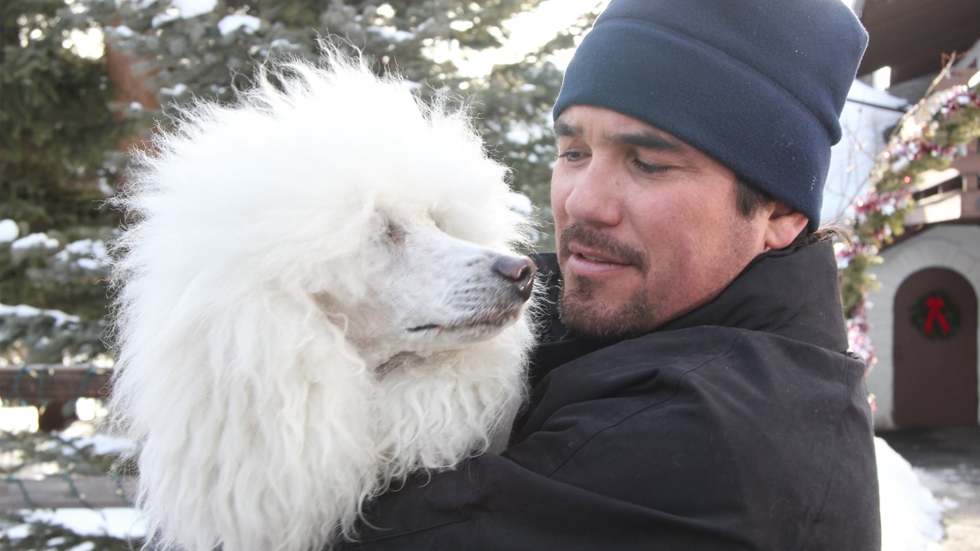 Foto de THE DOG WHO SAVED CHRISTMAS VACATION