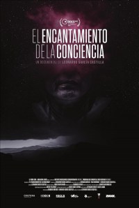 The Enchantment of Consciousness
