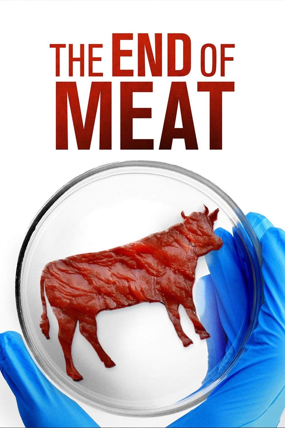 Poster de THE END OF MEAT en inglés