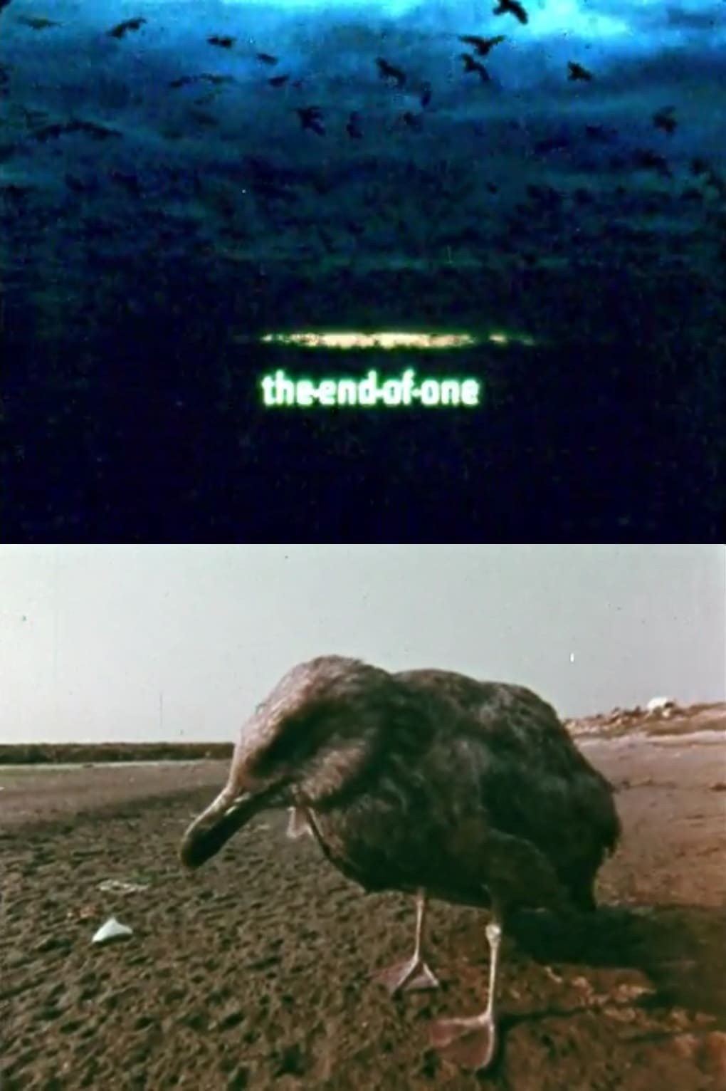 Poster de THE END OF ONE