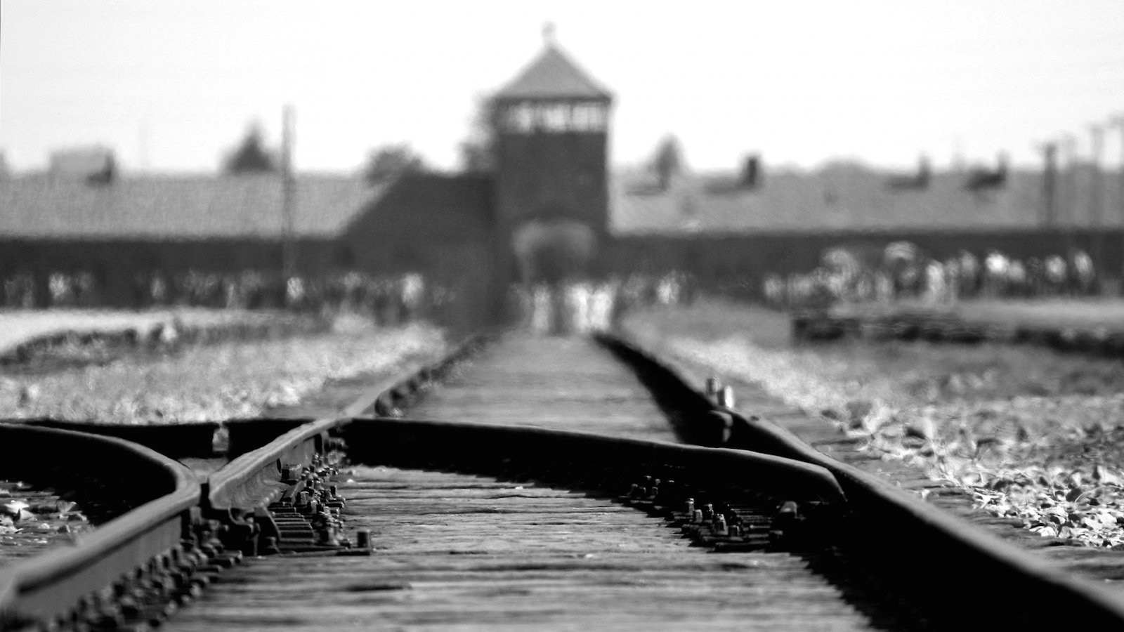 Foto de THE ESCAPE FROM AUSCHWITZ