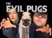 The Evil Pugs