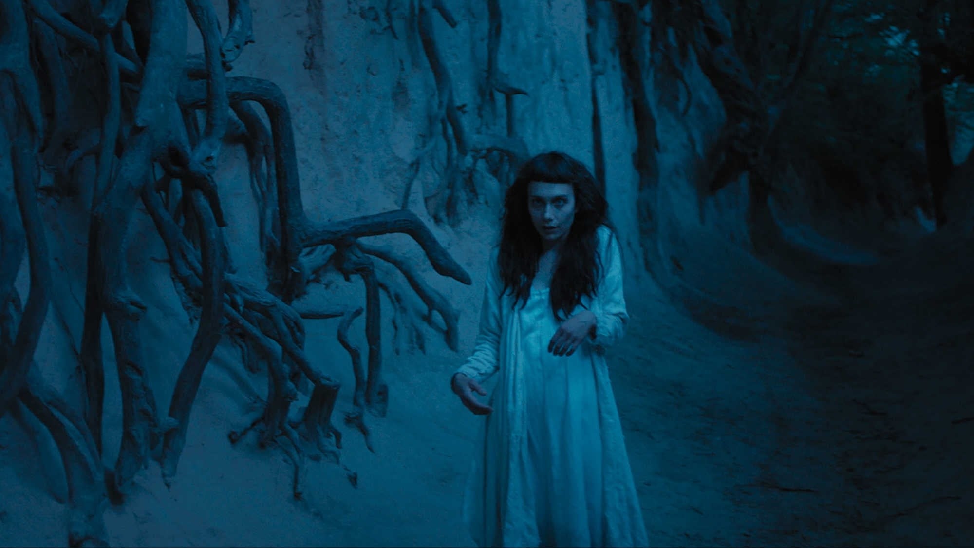 Foto de THE FIELD GUIDE TO EVIL