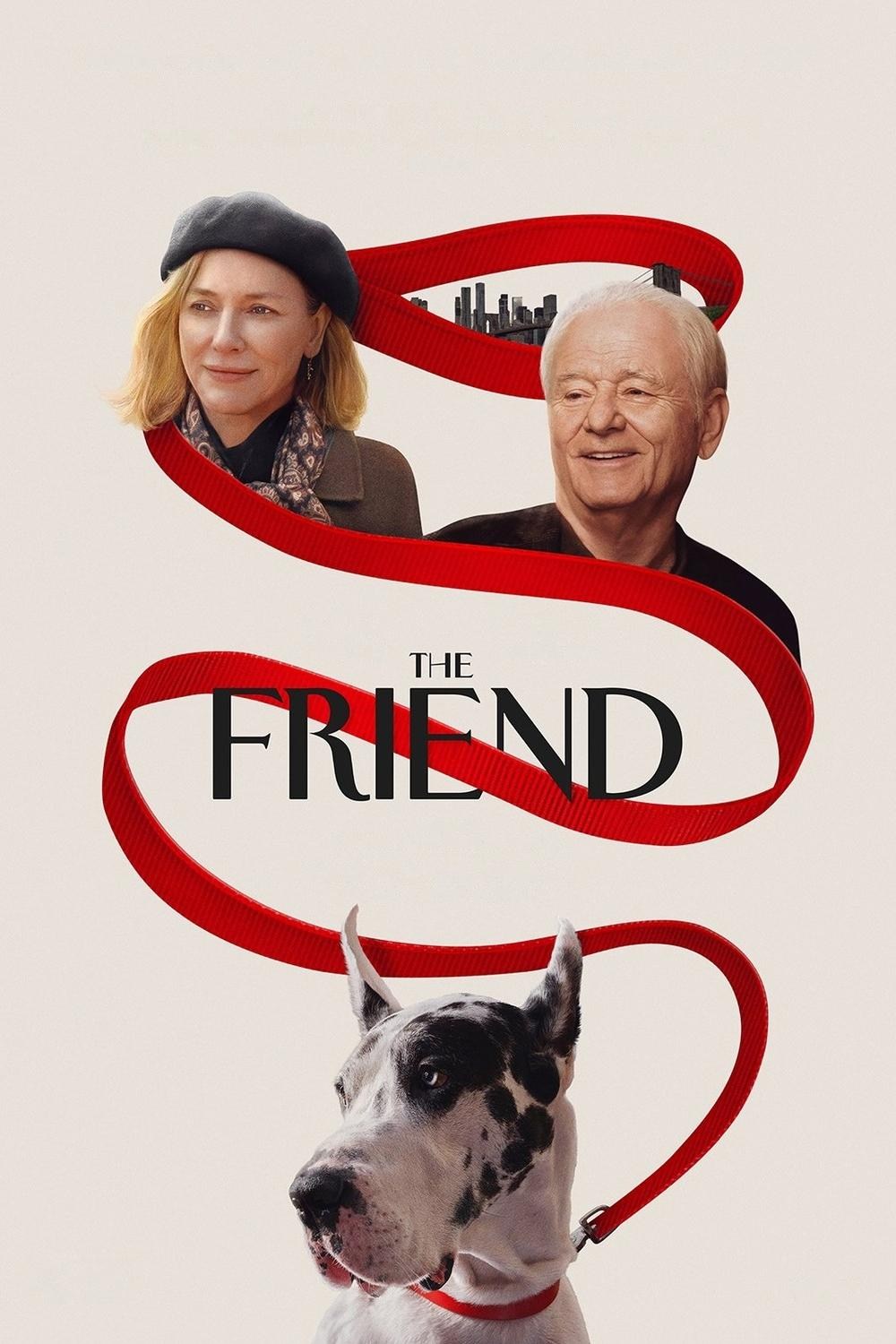 Poster de THE FRIEND