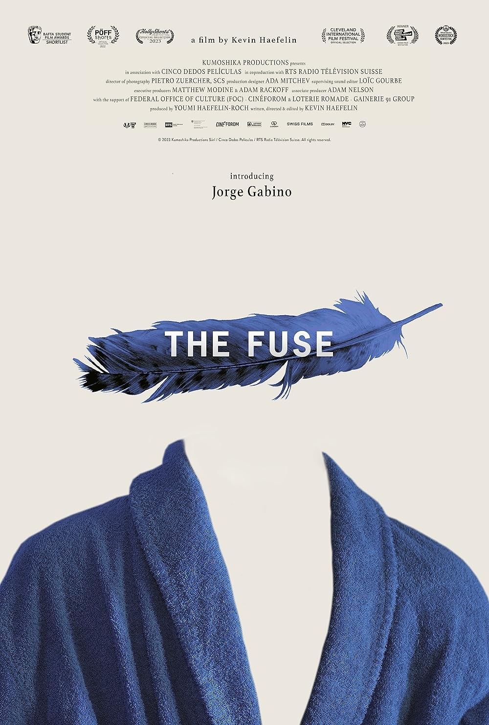 Poster de THE FUSE