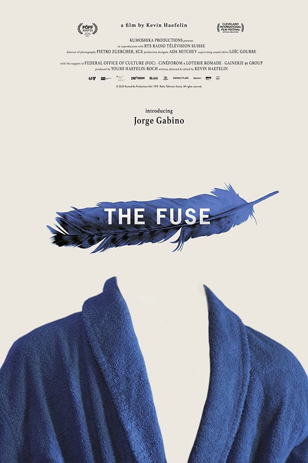 Poster de THE FUSE