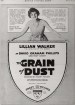 The Grain of Dust