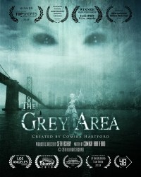The Grey Area