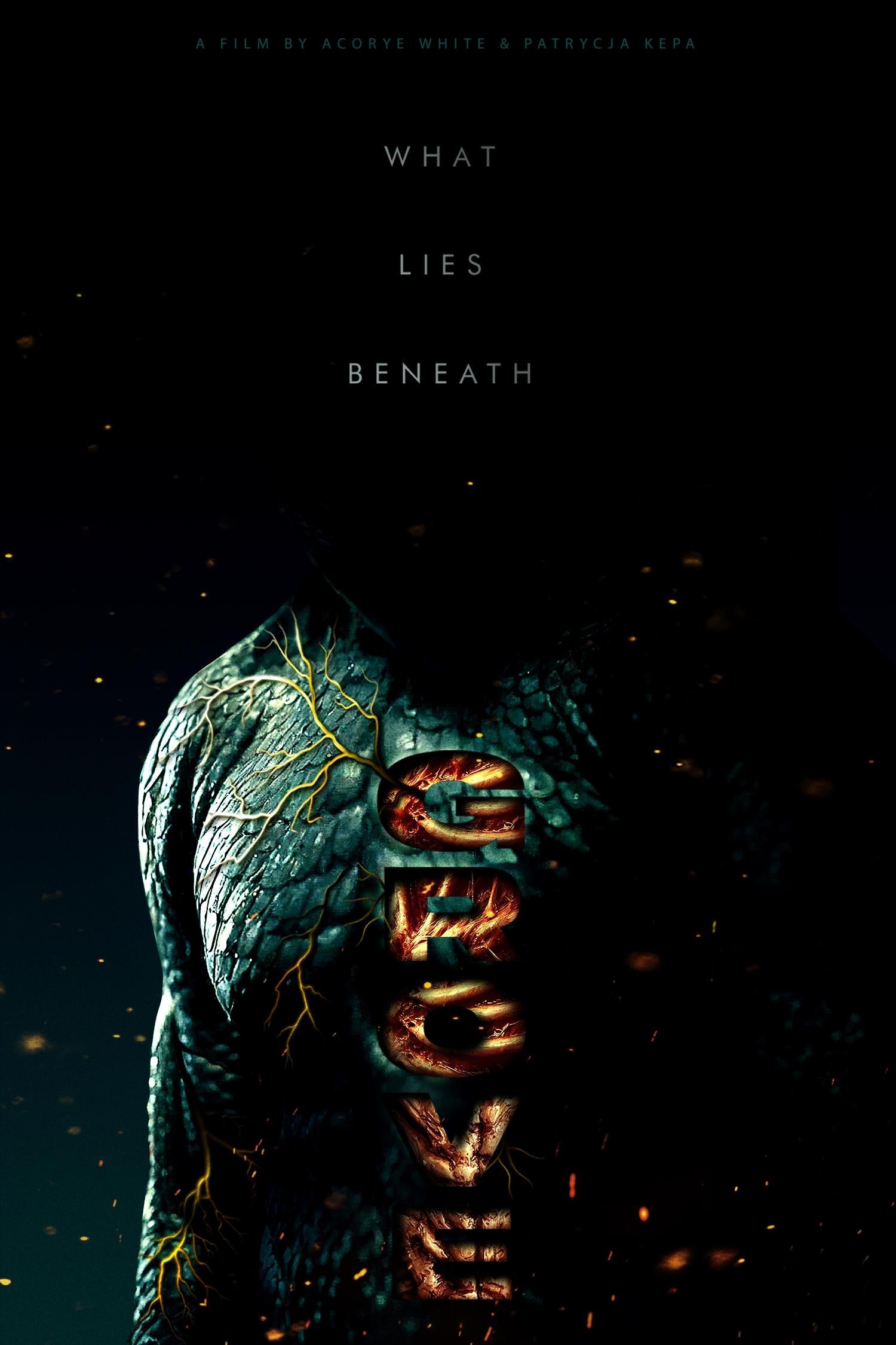 Poster de THE GROVE