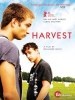 The Harvest