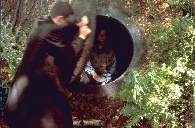 Foto de THE HOLE