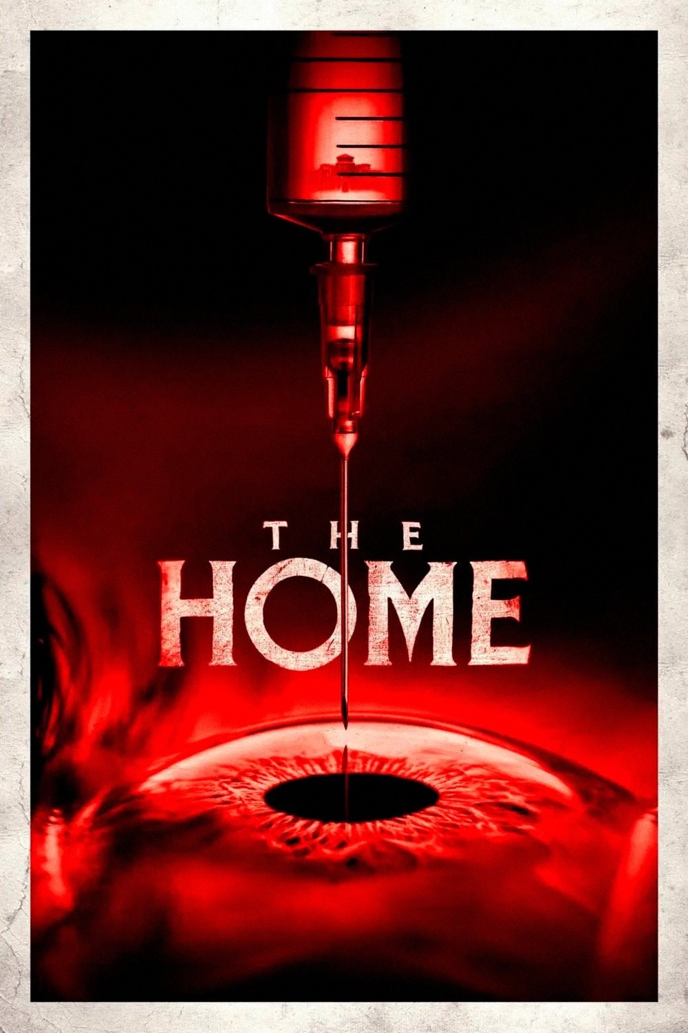 Poster de THE HOME