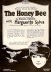 The Honey Bee