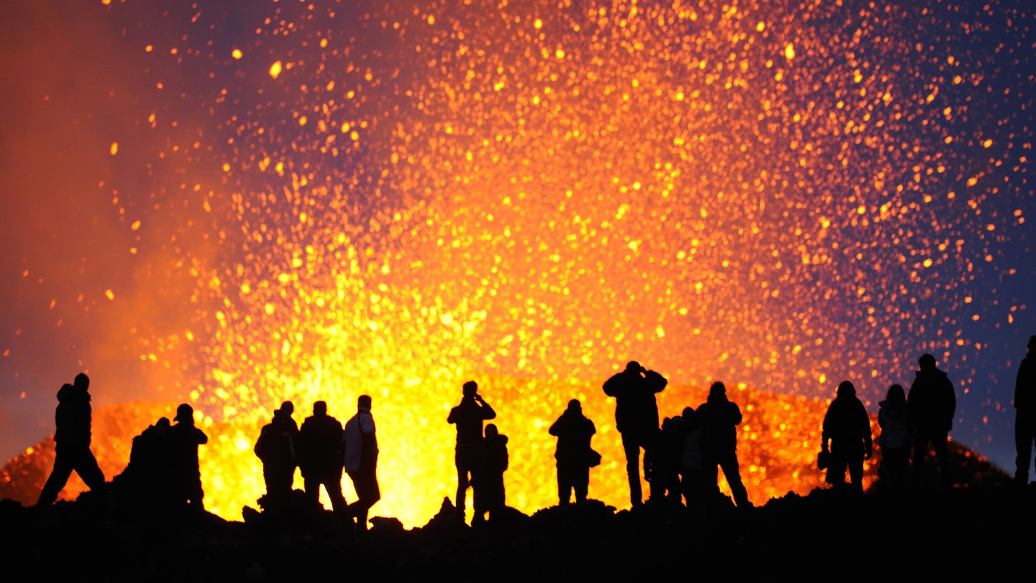 Foto de THE HUMAN ELEMENT